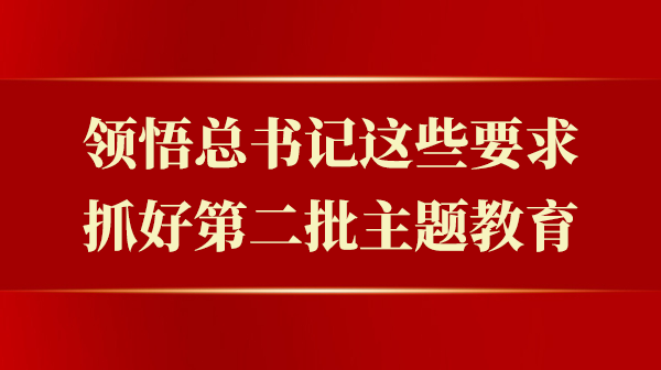 意会总书记这些要求，，，抓好第二批主题教育